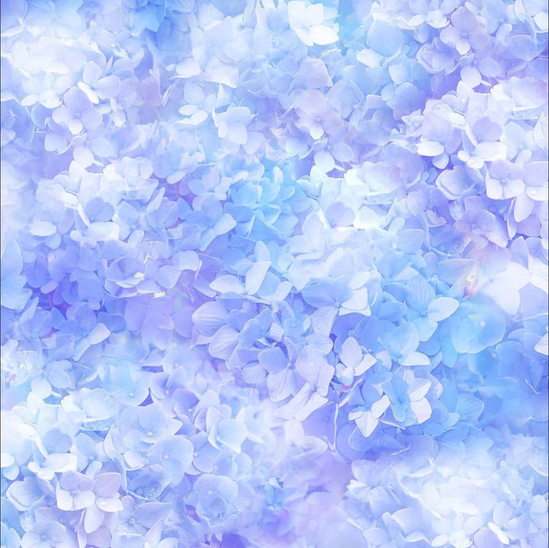 Garden Bliss T4901-222 Hydrangea by Hoffman Fabrics