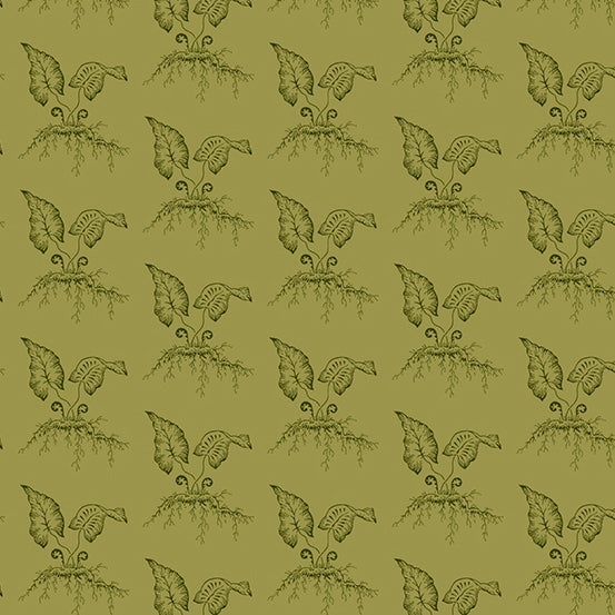 Green Thumb A-609-V Thyme Fiddleheads by Edyta Sitar for Andover Fabrics