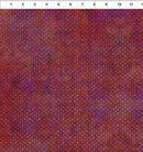 Halcyon 7HN-1 by Jason Yenter for In The Beginning Fabrics