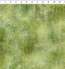Halcyon 8HN-1 by Jason Yenter for In The Beginning Fabrics