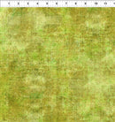 Halcyon Tonals 12HN-19 by Jason Yenter  for In The Beginning Fabrics