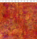 Halcyon Tonals 12HN-2 by Jason Yenter for In The Beginning Fabrics