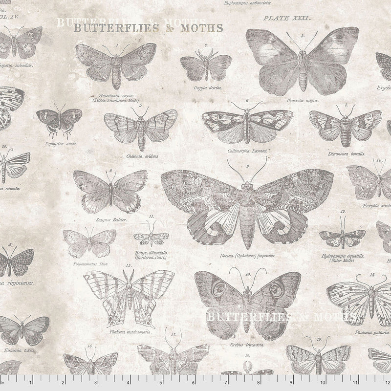 Monochrome PWTH004.PARCHMENT Butterflies Tim Holtz Free Spirit