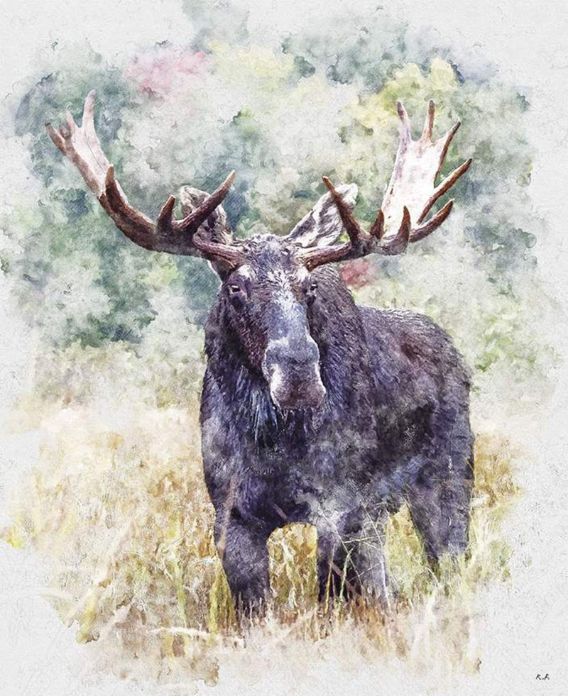 Nature's Window Moose Panel PD11867-MOOSE by Greg & Company for Riley Blake Designs