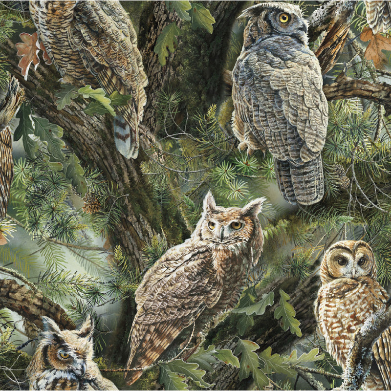 Night Owl 60064-A620715 by Susan Bourdet for Wild Wings for Springs Creative