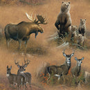 Northern Rim 23030-A620715 Scenic by Wiold Wings and Michael Sieve for Springs Creative