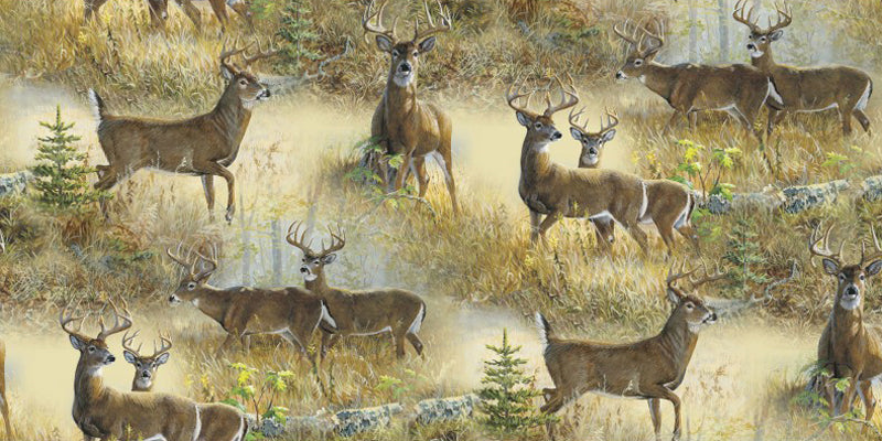 Northern Rim 76177-H210715 Deer Scenic by Wild Wings and Persis Clayton Weirs for Springs Creative