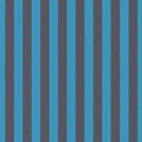 Shot Cotton Stripes SSGP001.EMBERS Wide Stripe Kaffe Fassett Free Spirit