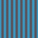 Shot Cotton Stripes SSGP001.EMBERS Wide Stripe Kaffe Fassett Free Spirit