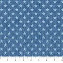 Singin' the Blues 24327-44 Blue Denim Stars Northcott