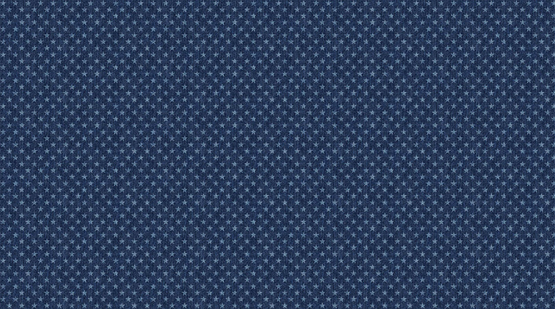 Singin' the Blues 24327-49 Indigo Denim Stars Northcott