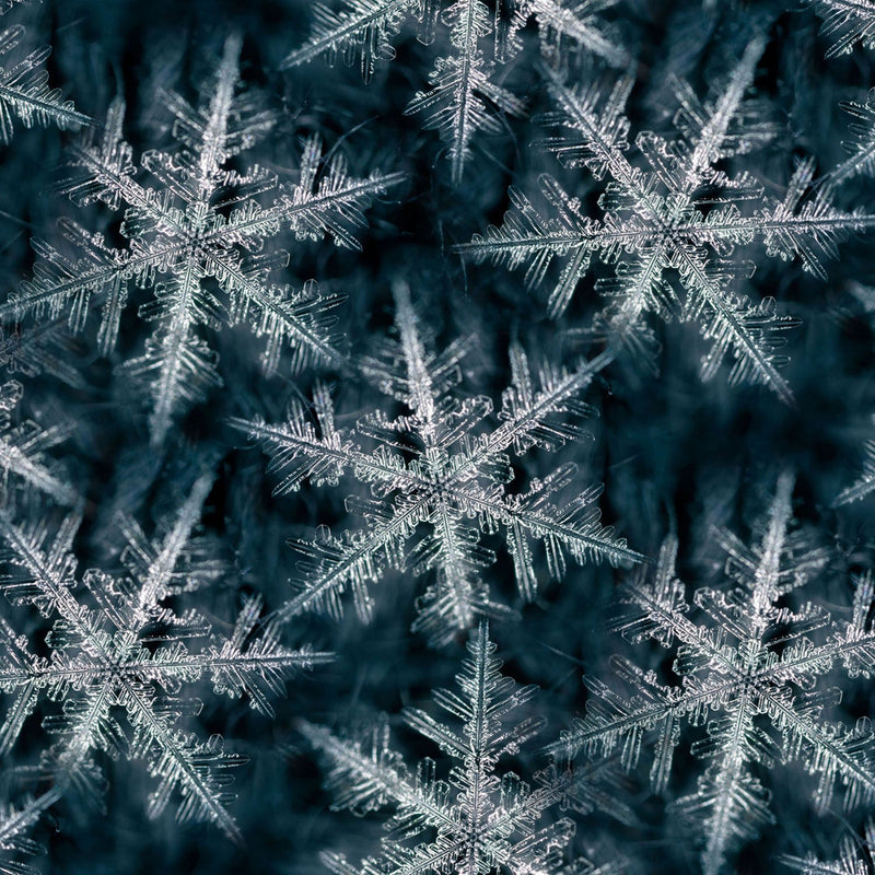 Snowfall U5037-537 Blacklight by Jeanie Sumrall-Ajero for Hoffman Fabrics
