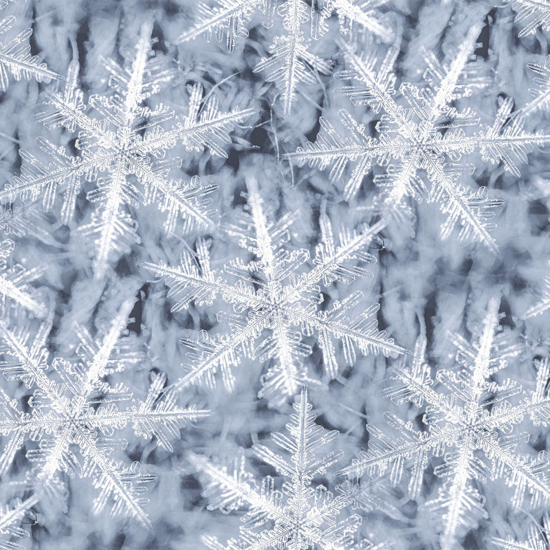 Snowfall U5037-674 Light Gray by Jeanie Sumrall-Ajero for Hoffman Fabrics