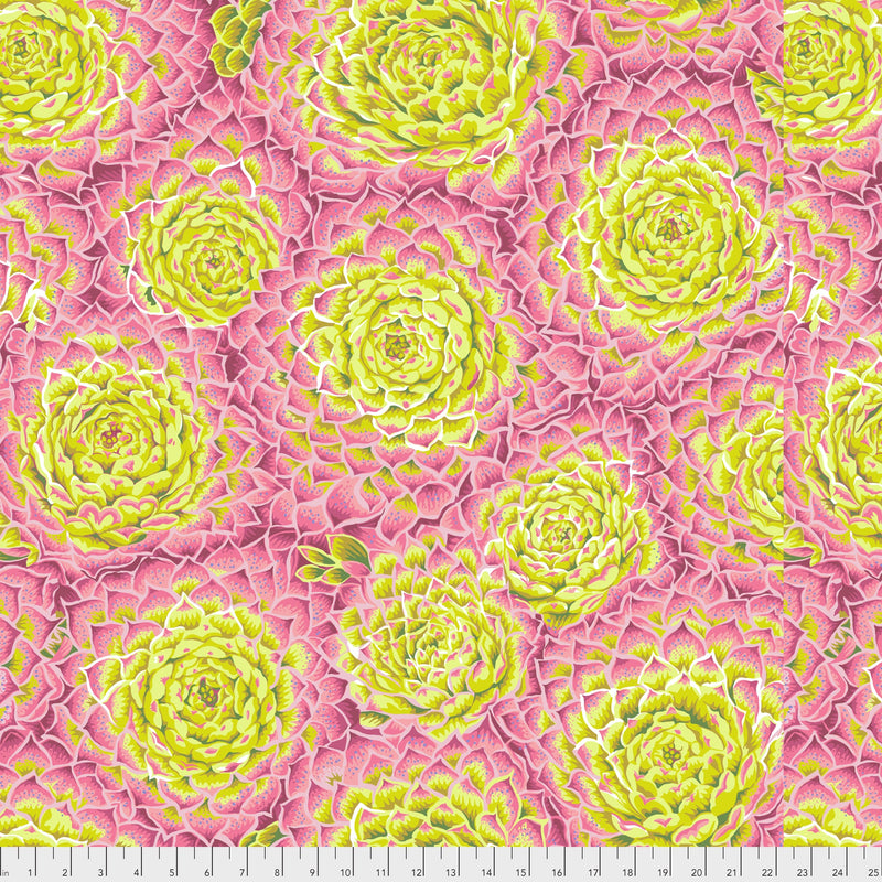 Succulent PWPJ091.LIMEX by Philip Jacobs for Free Spirit