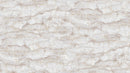 Surfaces - Stonehenge 25040-94 Marble 1 Warm Gray by Deborah Edwards for Northcott