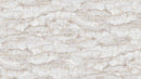 Surfaces - Stonehenge 25040-94 Marble 1 Warm Gray by Deborah Edwards for Northcott