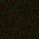 Sweet Holidays 12792-12 Star Sprinkles Black by Greta Lynn for Kanvas with Benartex