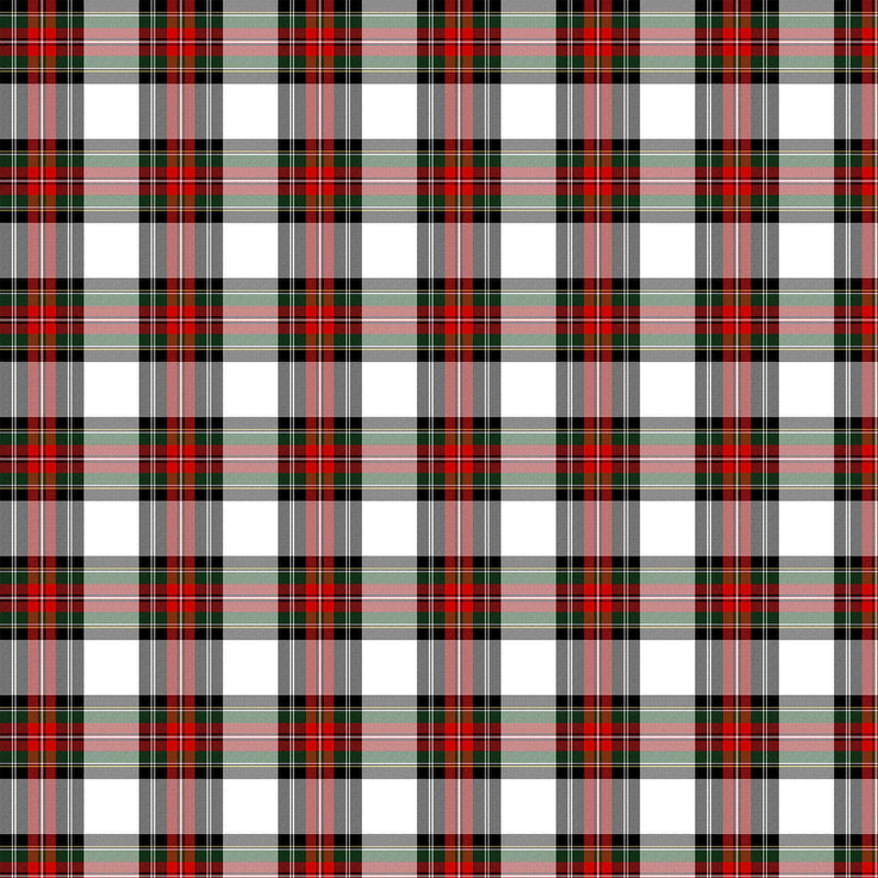 Totally Tartan Wovens W24502-10 Dress Stewart White Multi by Northcott Studio for Northcott