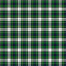 Totally Tartan Wovens W24510-10 Dress Gordon White Multi by Northcott Studio for Northcott