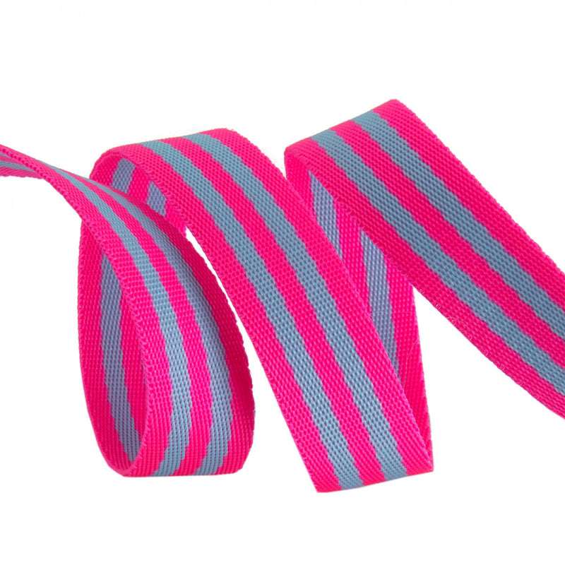 Tula Pink Striped Nylon 1" Webbing - Aqua and Hot Pink