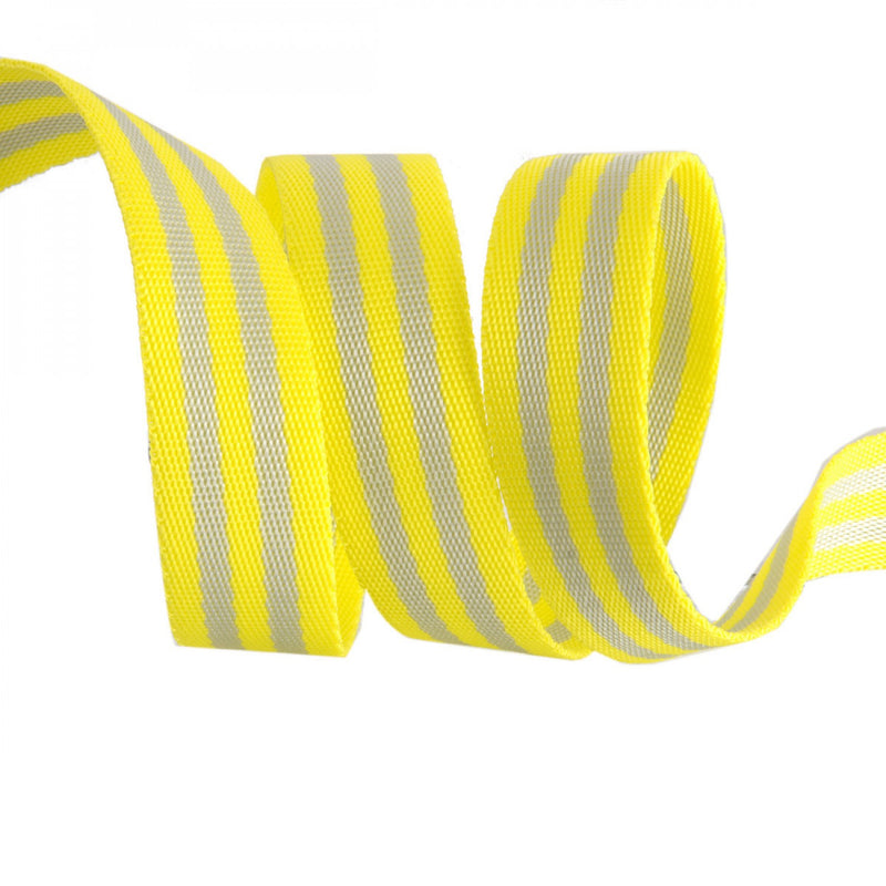 Tula Pink Striped Nylon 1" Webbing - Grey and Lime