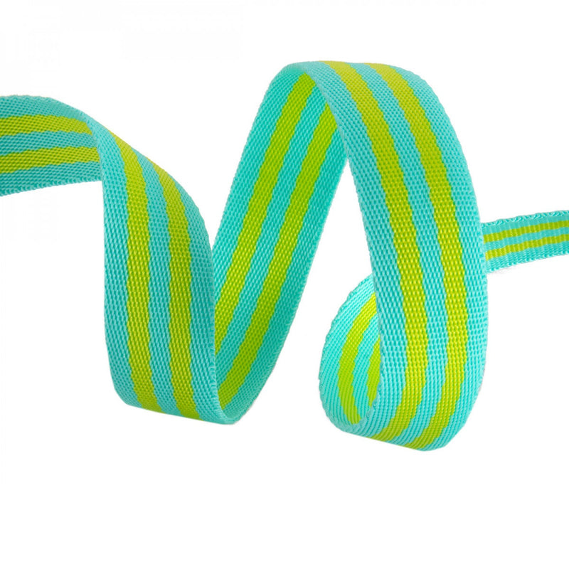 Tula Pink Striped Nylon 1" Webbing - Lime and Turquoise