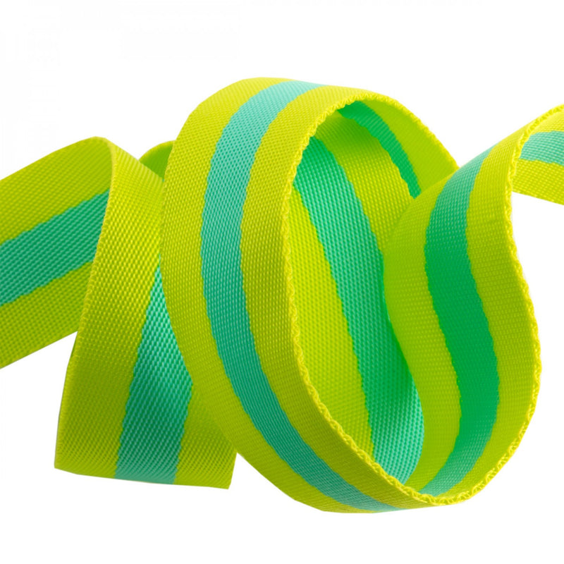 Tula Pink Striped Nylon Webbing - Lime and Turquoise