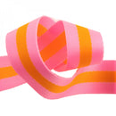 Tula Pink Striped Nylon Webbing - Pink and Orange