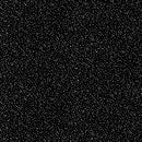 Whispering Woods V7163-213S Onyx/Silver by Hoffman Fabrics