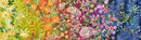 Wild Blossoms 48730-11 Rainbow Wildflowers Ombre by Robin Pickens for Moda