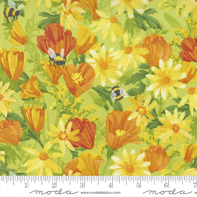 Wild Blossoms 48731-13 Sunlit Daisies and Poppies by Robin Pickens for Moda