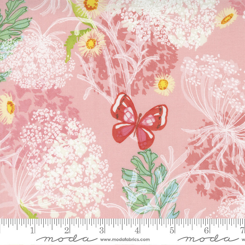 Wild Blossoms 48733-21 Princess Queen Annes Lace by Robin Pickens for Moda