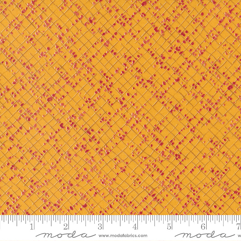 Wild Blossoms 48737-17 Honeycomb Blotted Graph Paper by Robin Pickens for Moda