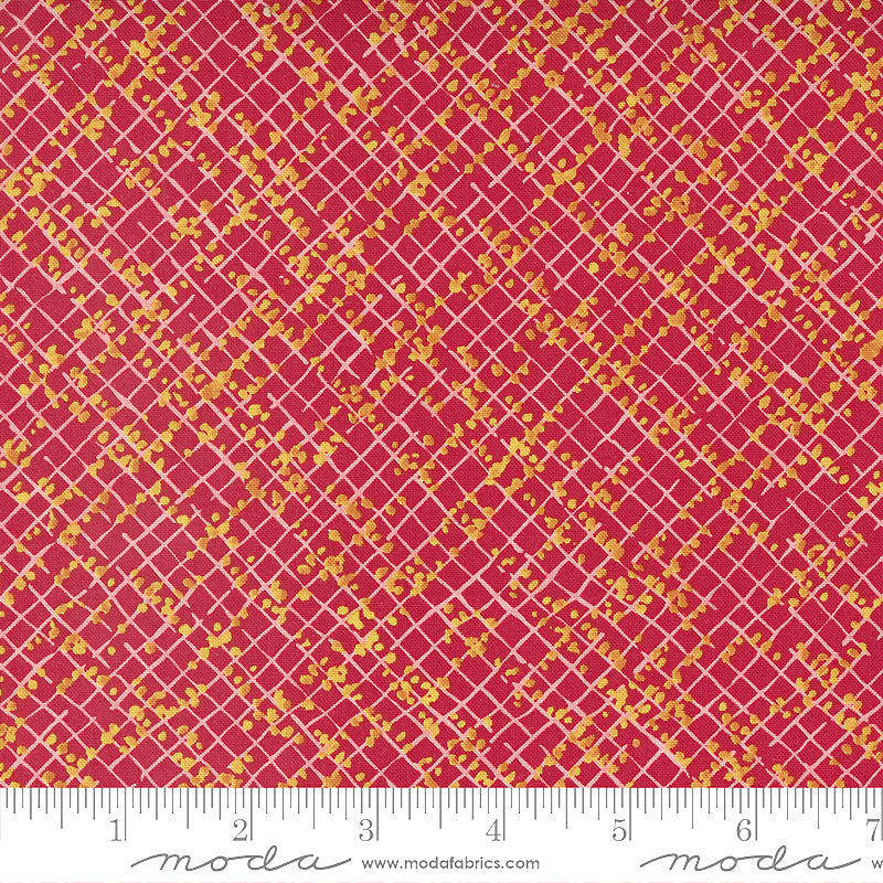 Wild Blossoms 48737-19 Poppy Blotted Graph Paper by Robin Pickens for Moda