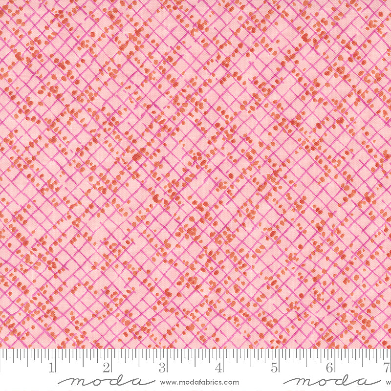 Wild Blossoms 48737-21 Princess Blotted Graph Paper by Robin Pickens for Moda